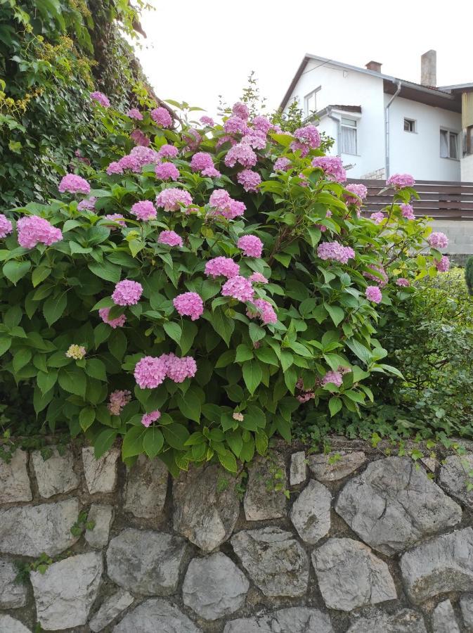 Apartman Domi Slunj Extérieur photo